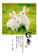 年賀はがき
