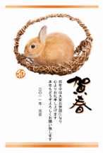 年賀はがき